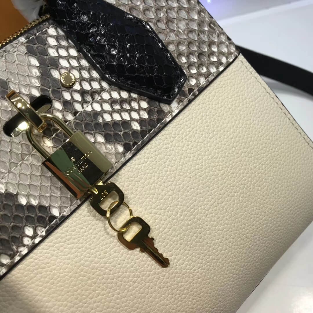 Louis Vuitton City Steamer MiNi N96317
