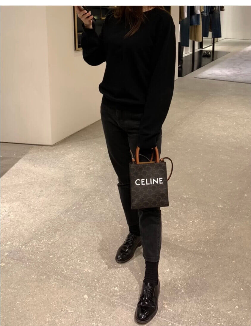 Celine Mini Vertical Cabas In Triomphe Canvas 193302