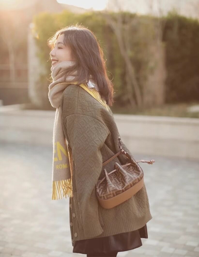 Fendi Pomodorino Brown FF Fabric Mini Bag 8BS059