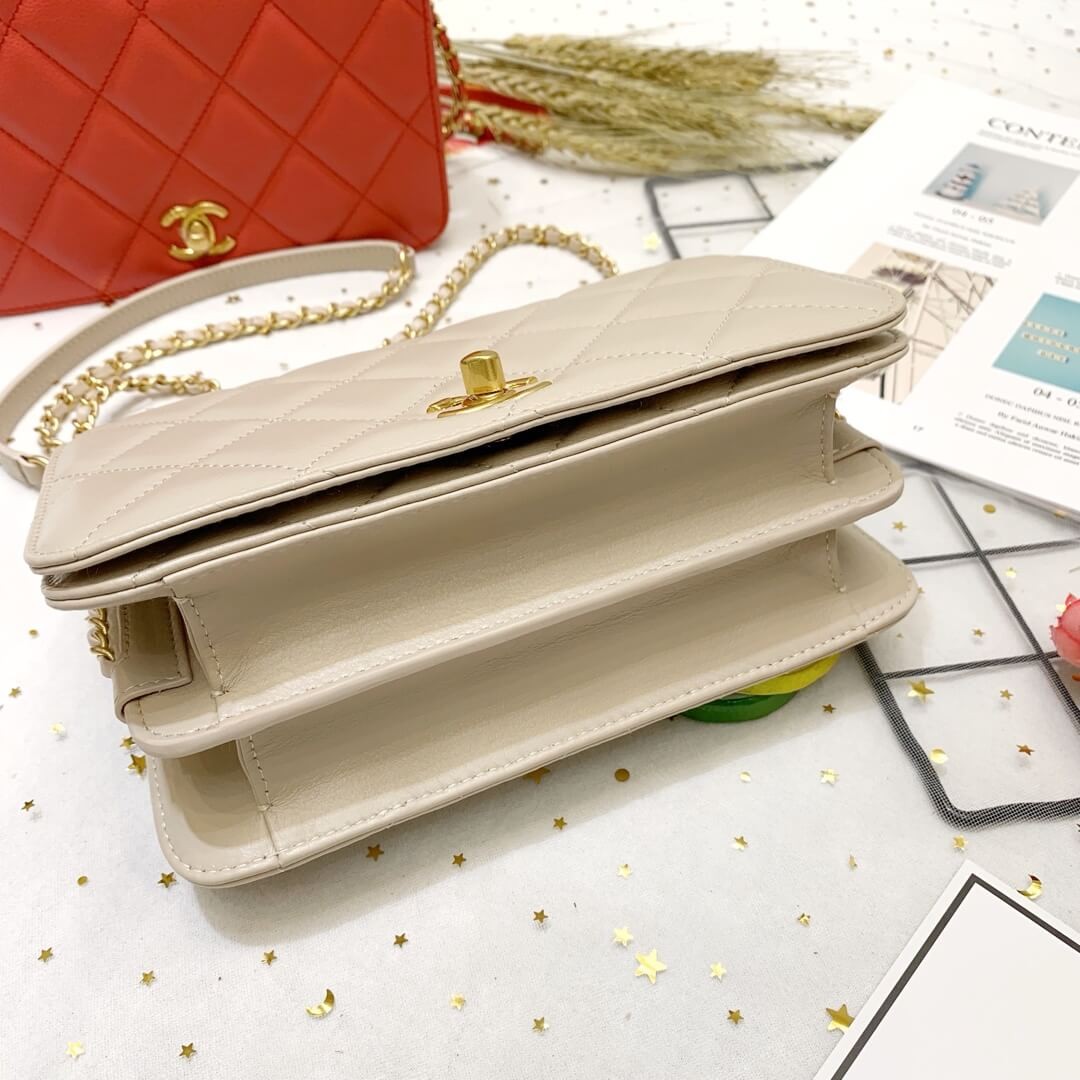 Chanel Calf Leather Single Flap Bag AS8869