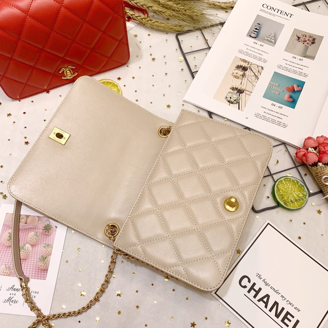 Chanel Calf Leather Single Flap Bag AS8869