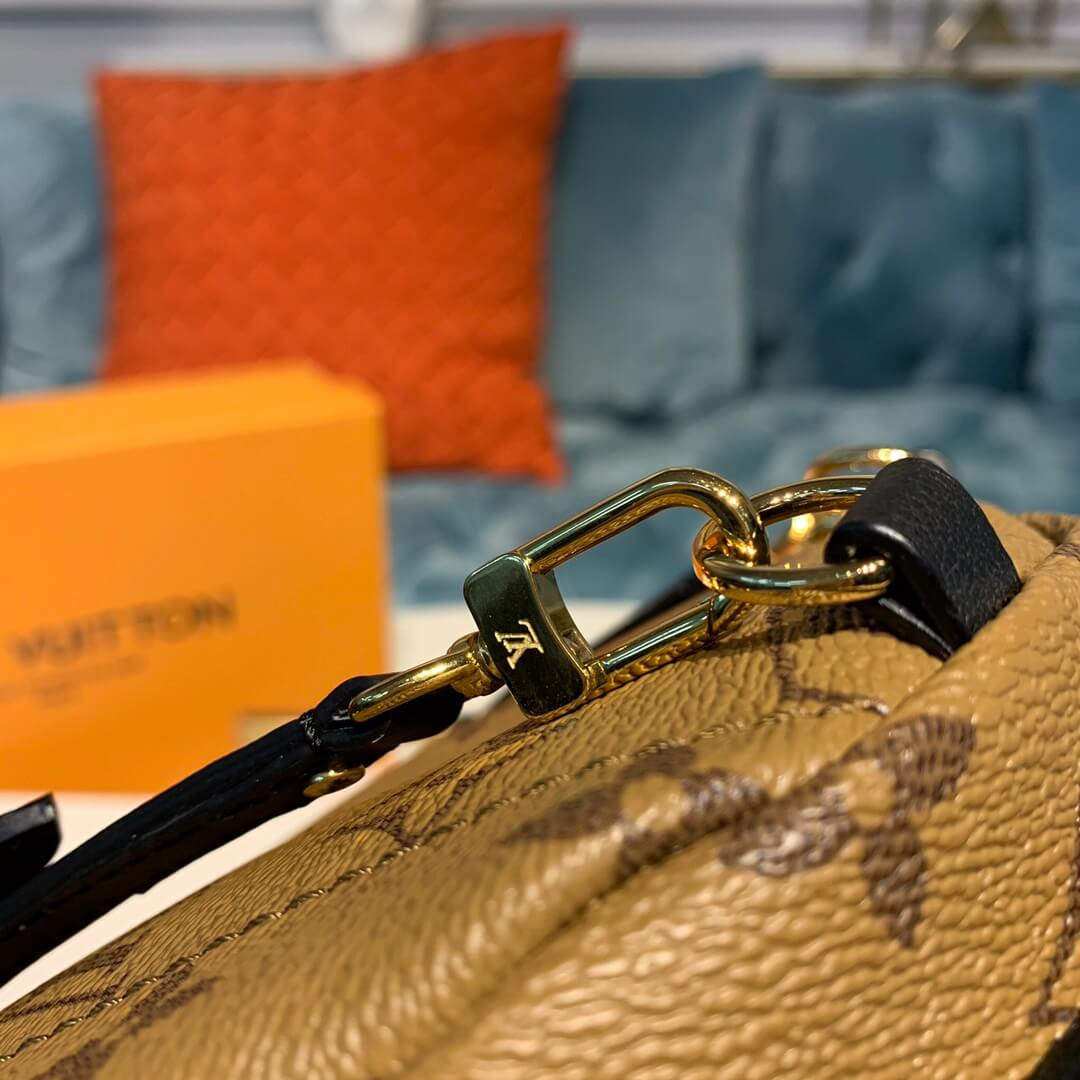 Louis Vuitton Monogram Canvas Palm Springs Backpack Mini M42411