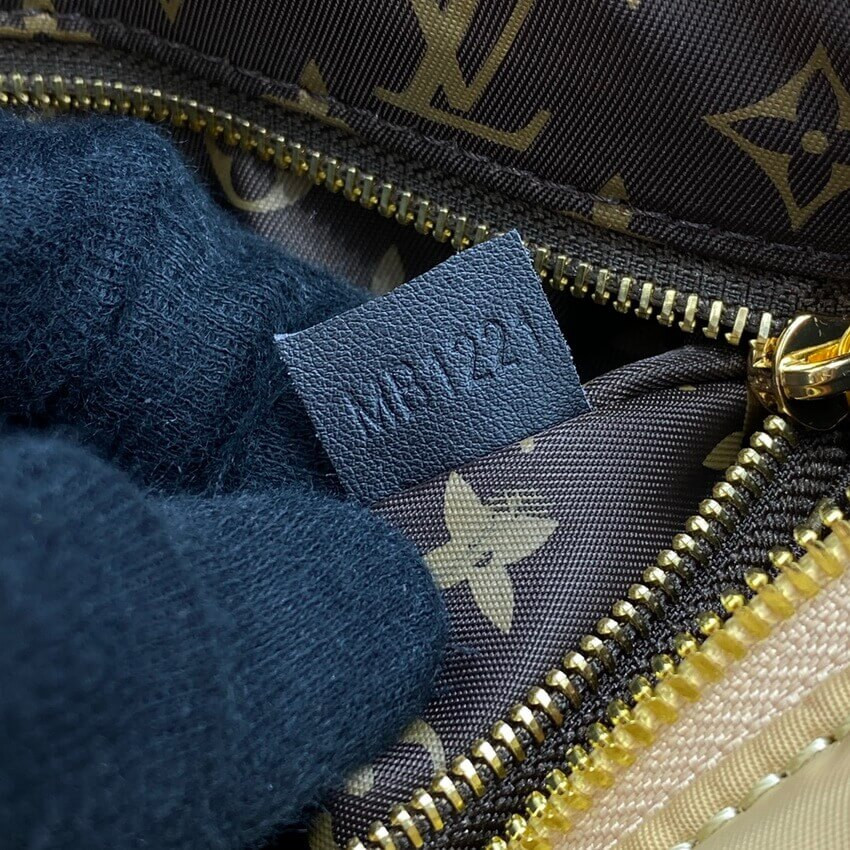 Louis Vuitton Econyl Speedy Bandouliere 25 M59008 Beige