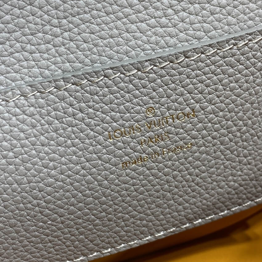 Louis Vuitton LV Pont 9 Soft MM M58967 Gris