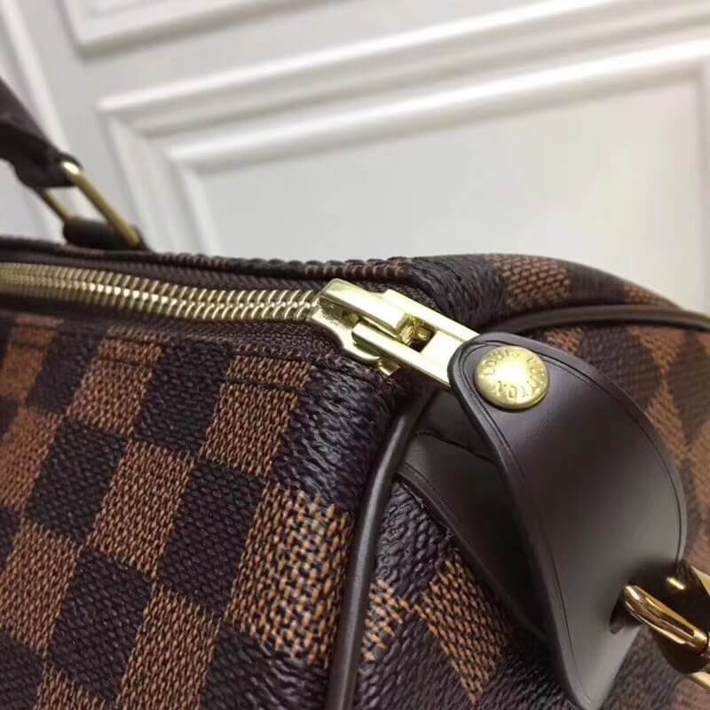 Louis Vuitton Damier Ebene Canvas Speedy 25 N41365
