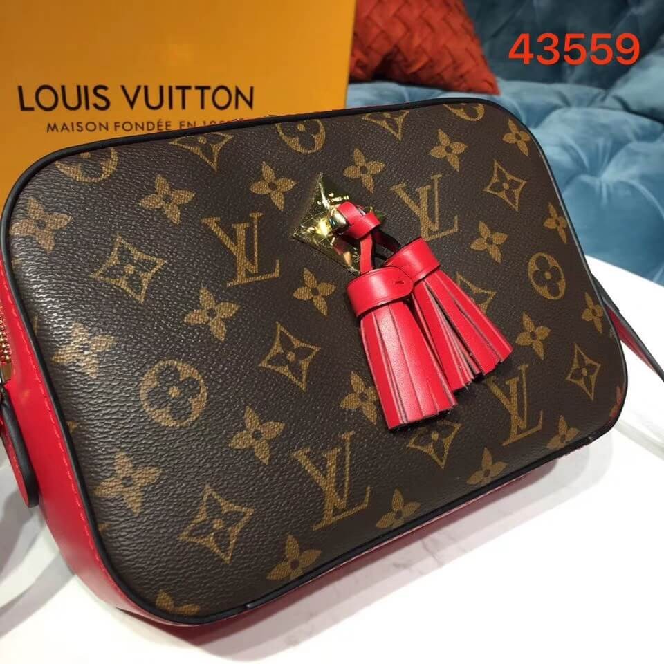 Louis Vuitton Monogram Canvas Saintonge M43559