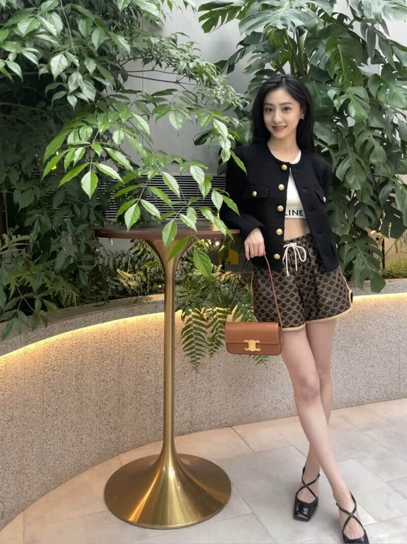 Celine Triomphe Shoulder Bag In Natural Calfskin 194143 Tan