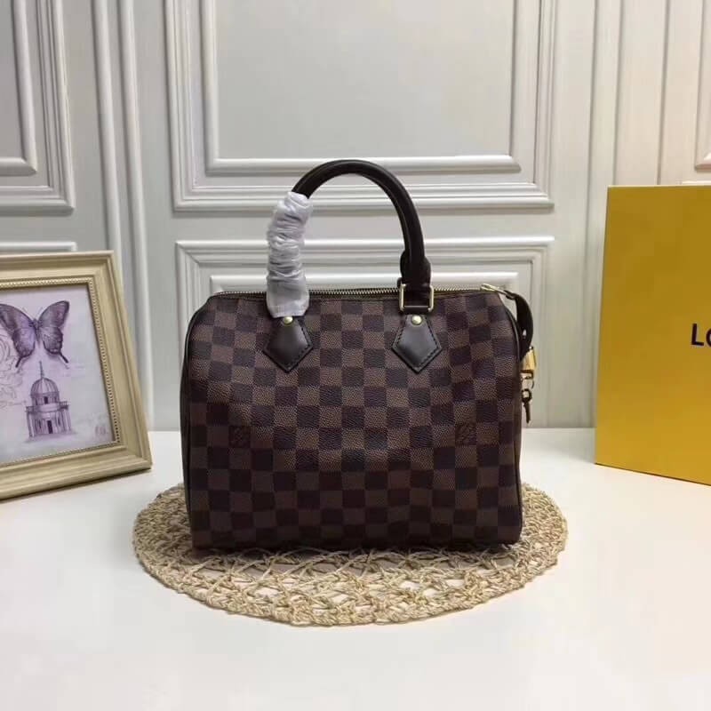 Louis Vuitton Damier Ebene Canvas Speedy 25 N41365