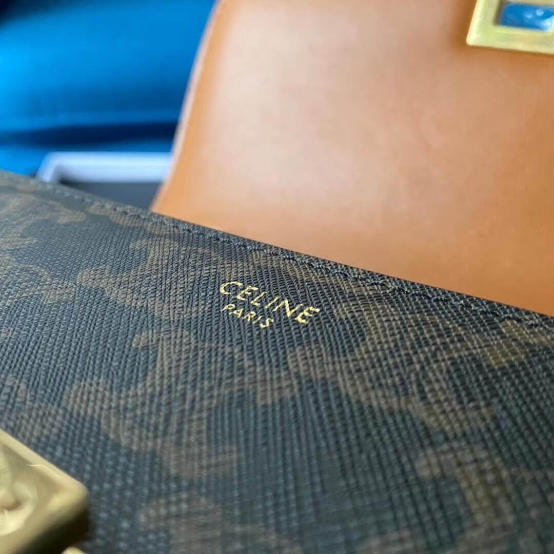 Celine Small Classic Bag In Triomphe Canvas 189183