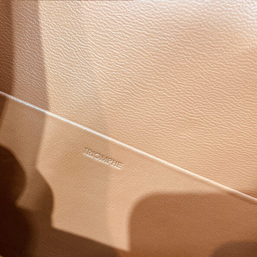 Celie Medium Triomphe Bag in Triomphe Textile and Calfskin 191242 Brown/Tan