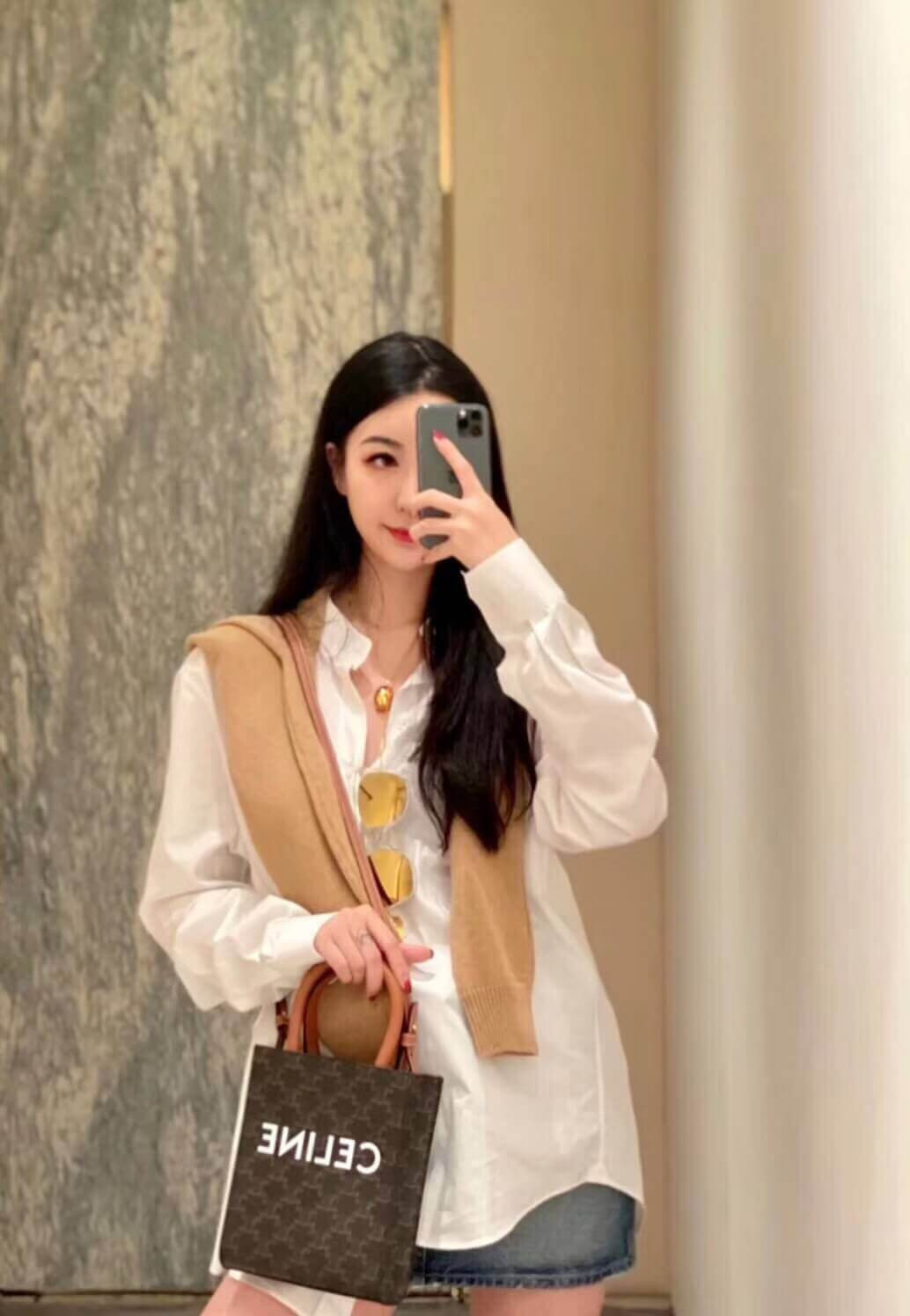 Celine Mini Vertical Cabas In Triomphe Canvas 193302