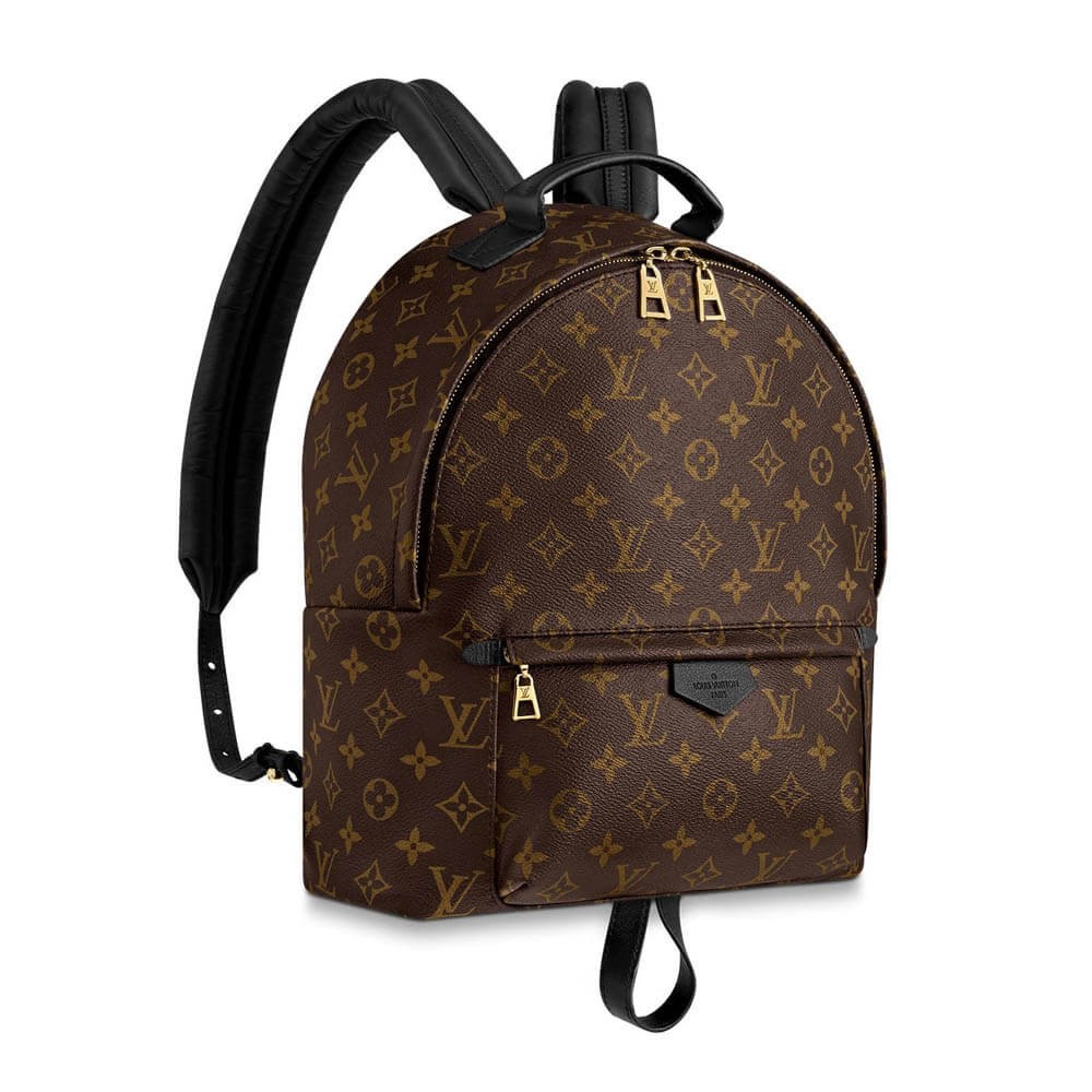 Louis Vuitton Monogram Canvas Palm Springs Backpack MM M41561