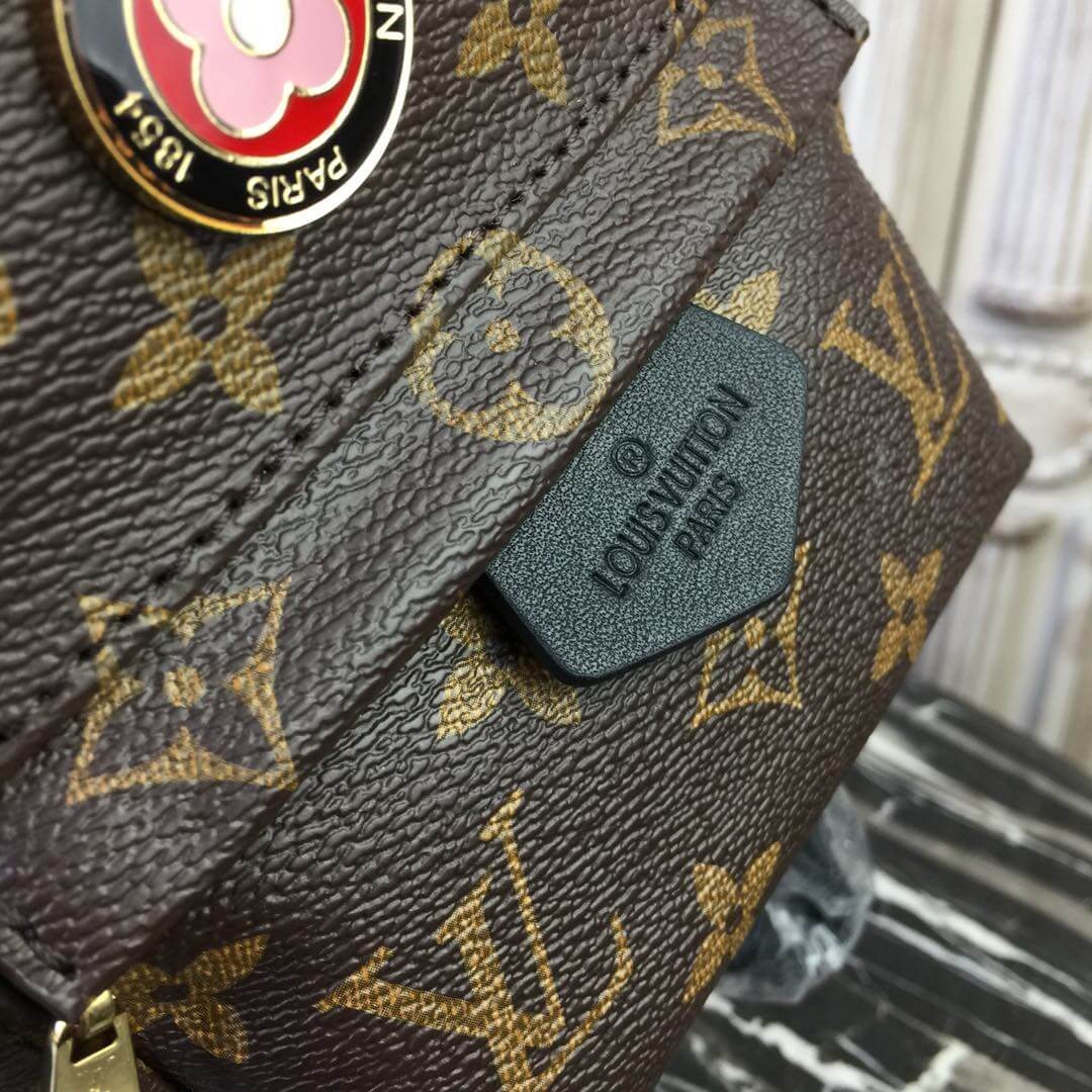 Louis Vuitton Monogram Canvas Palm Springs Backpack Mini M41562-1