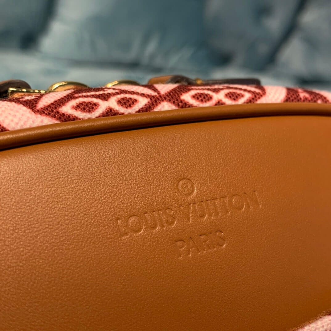 Louis Vuitton Denim Camera Bag M45528