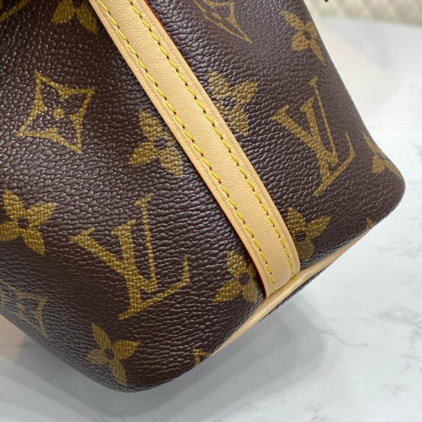 Louis Vuitton Monogram Canvas Nano Noe M41346