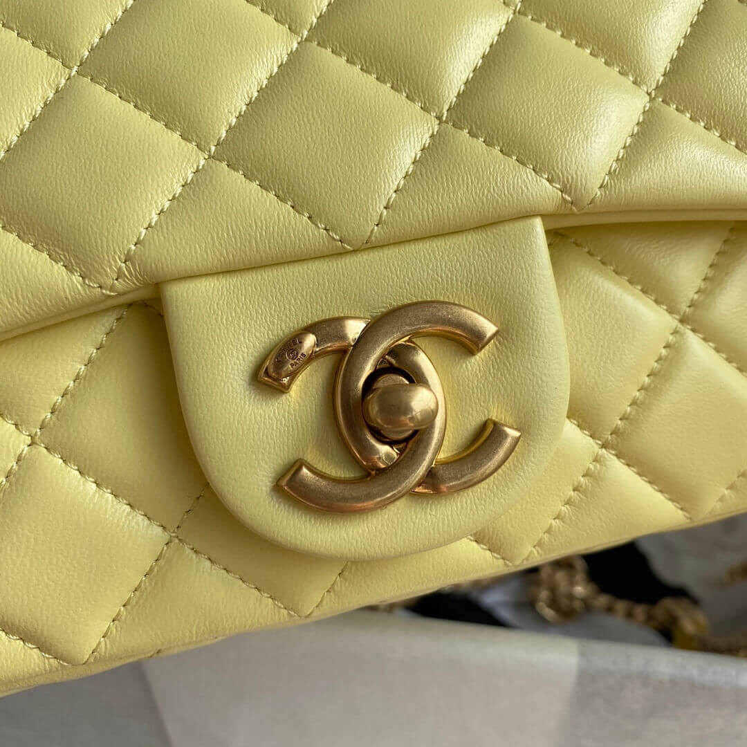Chanel Resin Flap Bag AS2380