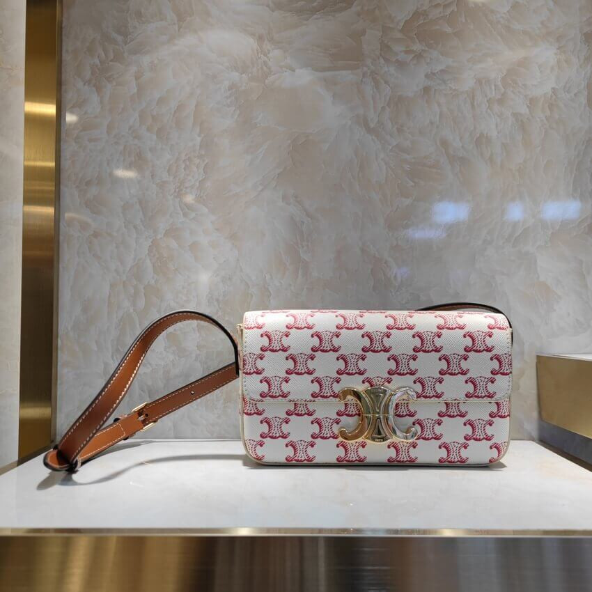 Celine Triomphe Shoulder Bag In Triomphe Canvas and Calfskin 194142