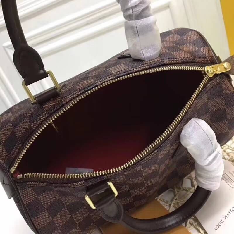 Louis Vuitton Damier Ebene Canvas Speedy 25 N41365