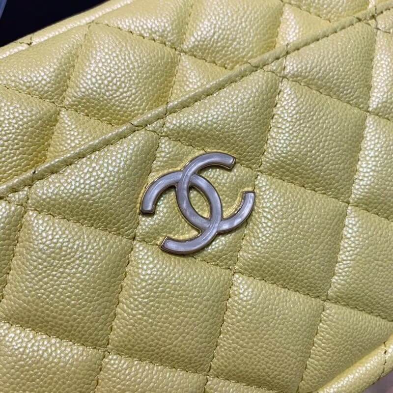 Chanel Camera Case A1003