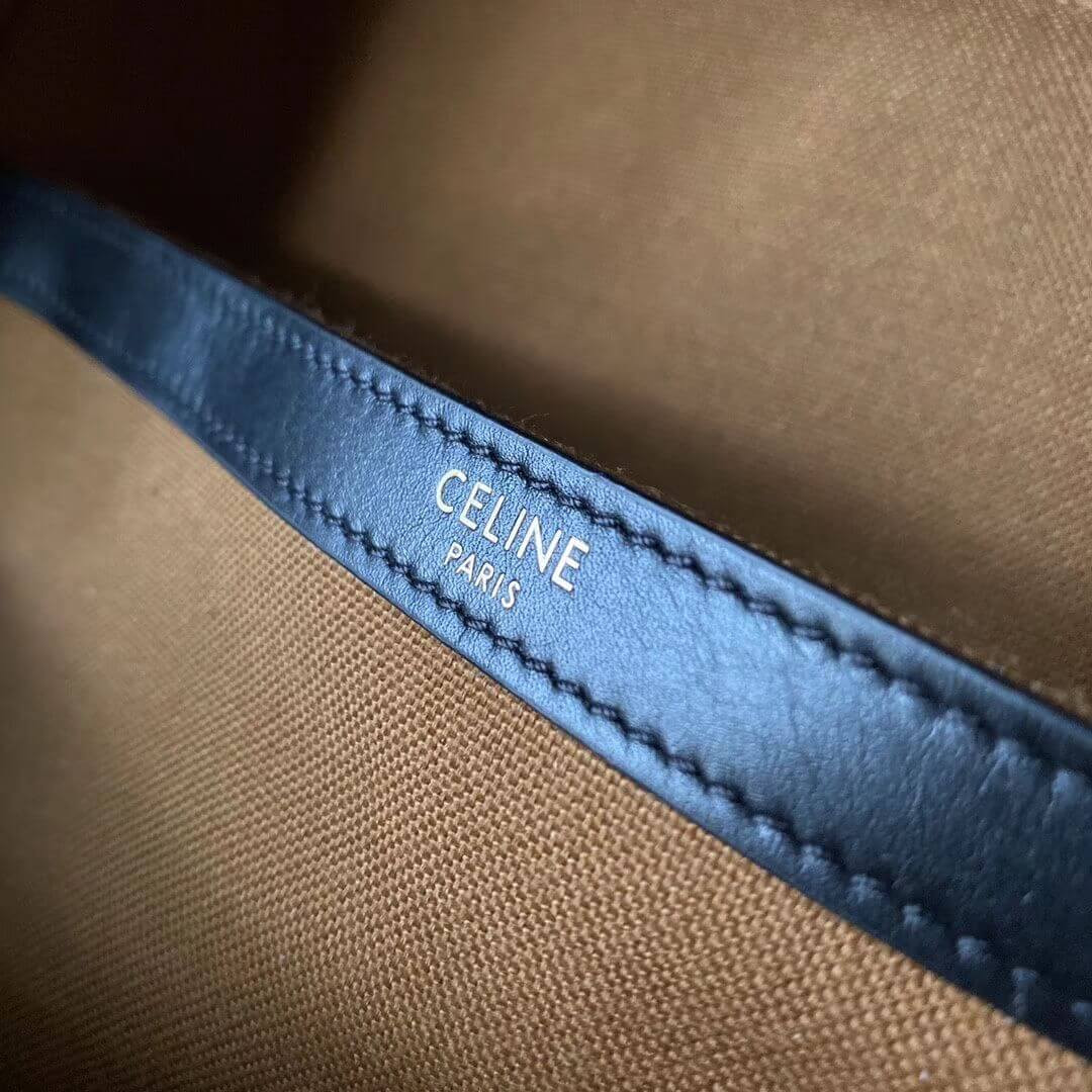 Celine Medium Backpack In Triomphe Canvas 188382