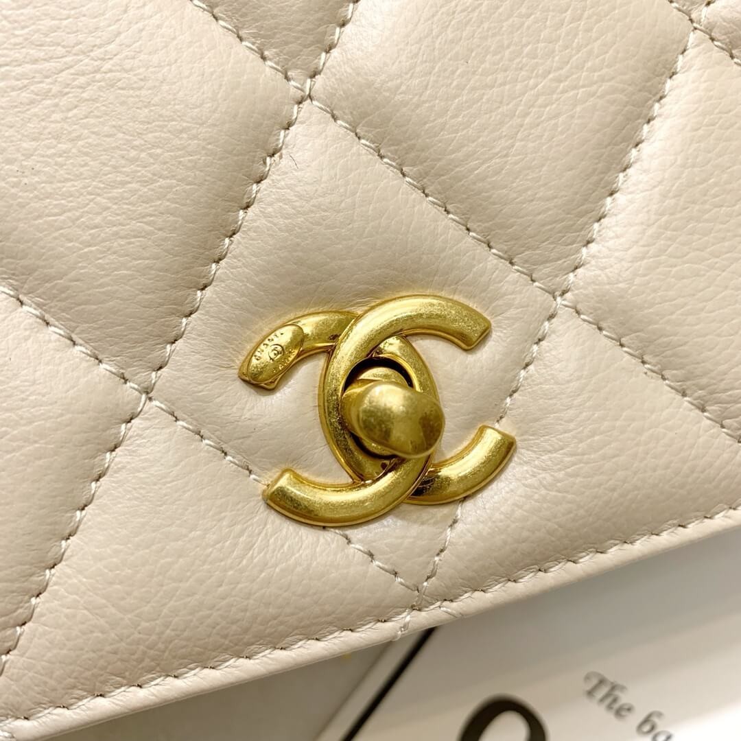 Chanel Calf Leather Single Flap Bag AS8869