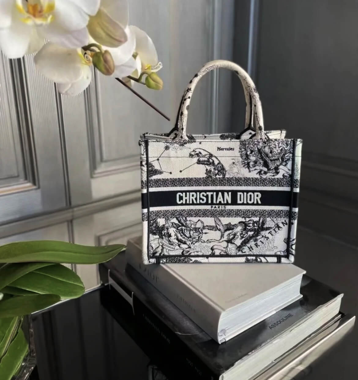 Christian Dior Small Book Tote Bag 26cm Latte Toile De Jouy Zodiac Embroidery Beige