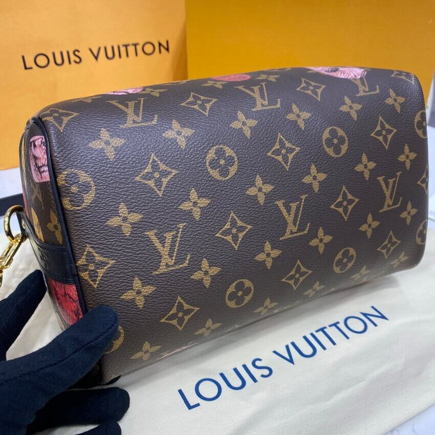 Louis Vuitton Monogram Cameo Printed Speedy Bandouliere 25 M45910