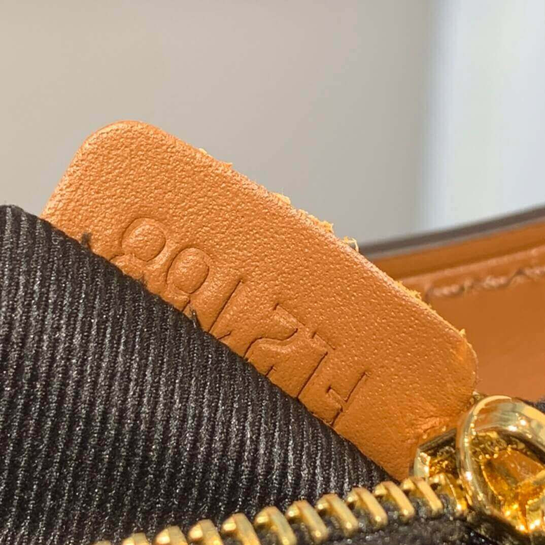 Louis Vuitton Hobo Dauphine PM M45194