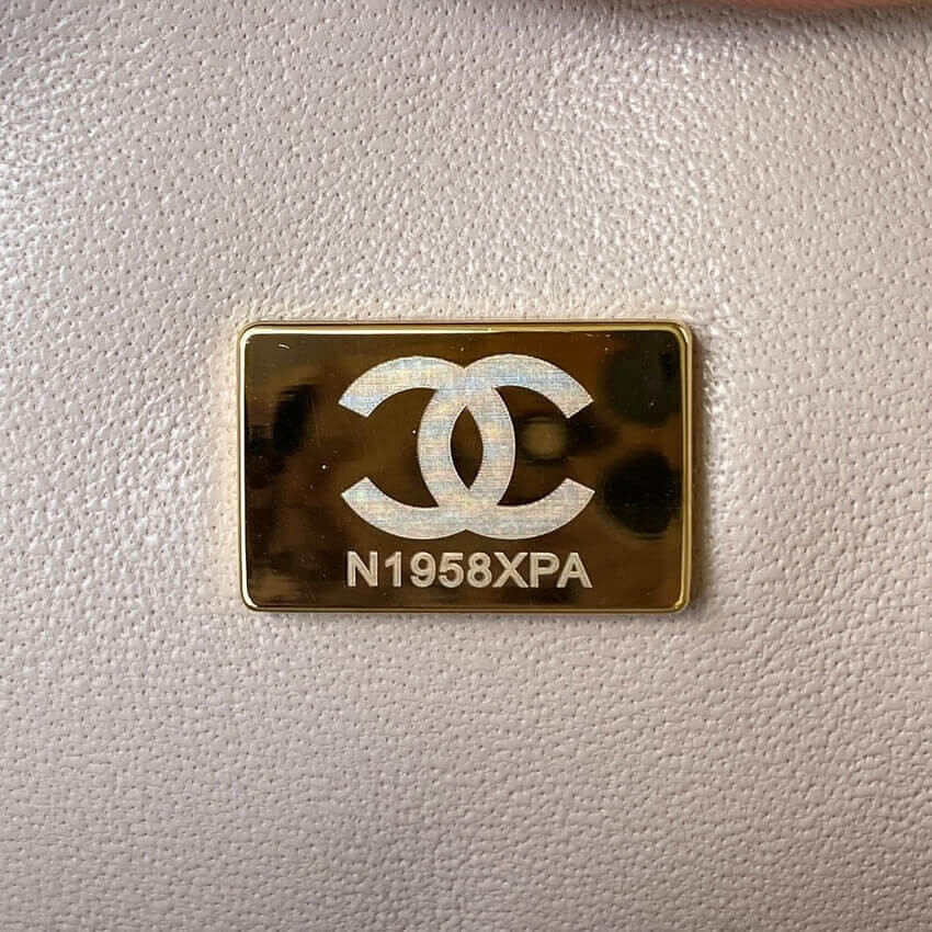Chanel Mini Flap Bag With Top Handle AS2431 in Iridescent Lambskin