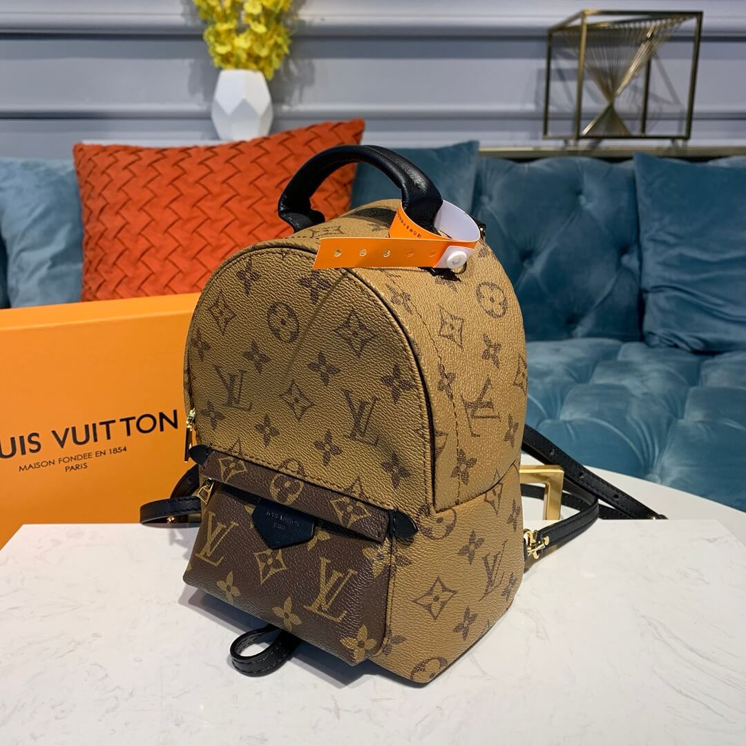 Louis Vuitton Monogram Canvas Palm Springs Backpack Mini M42411