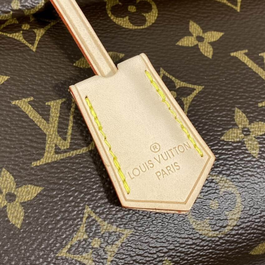 Louis Vuitton Monogram Canvas Cluny BB M42738
