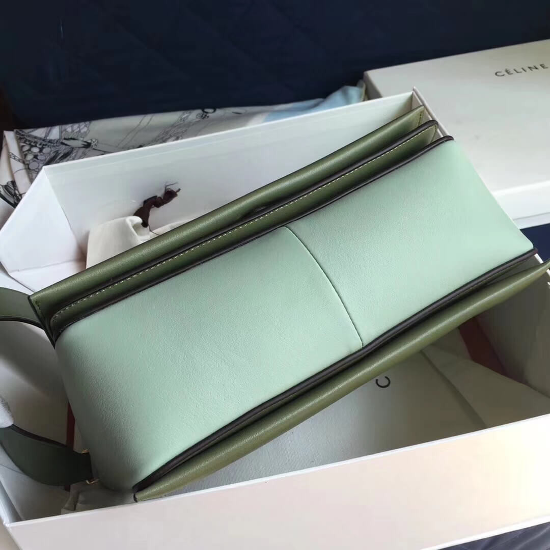 Celine Frame Medium Shoulder Bag 180263 Green/Light Green