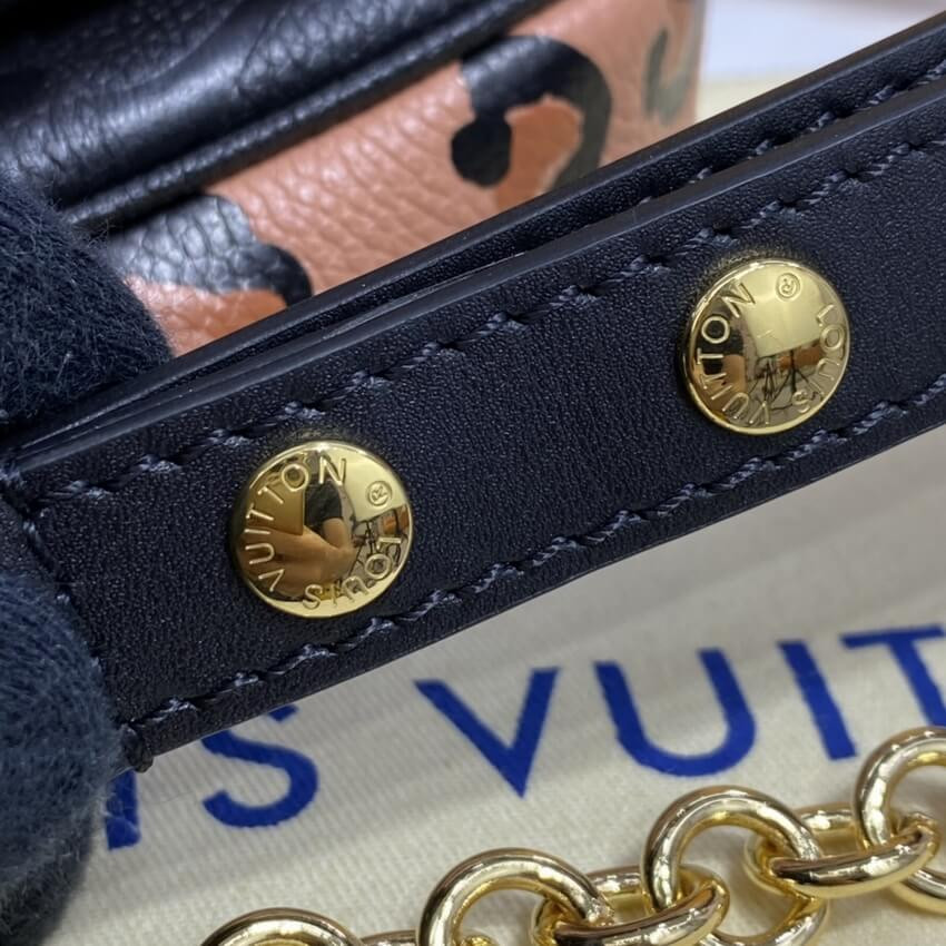 Louis Vuitton Multi Pochette Accessoires M45839 M58520