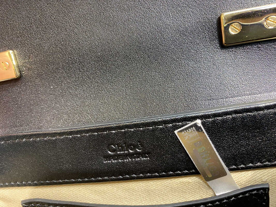 Chloe C Mini Bag In Embossed Croco A873