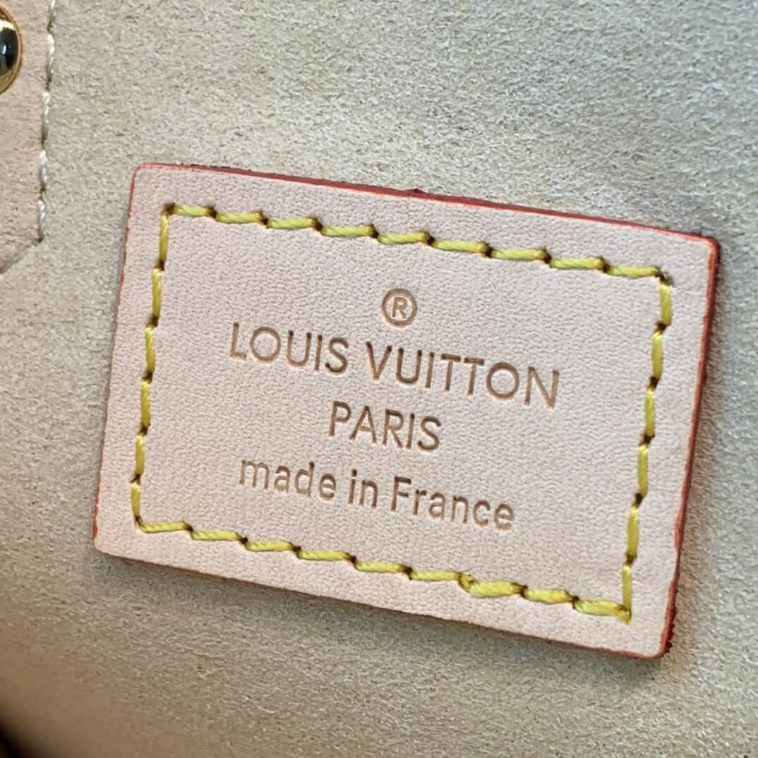 Louis Vuitton Monogram Canvas Mini Onthego M69846