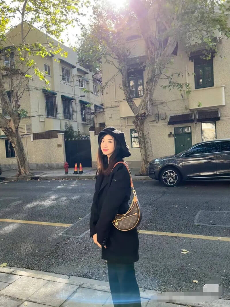 Louis Vuitton Monogram Canvas Loop Bag M81098