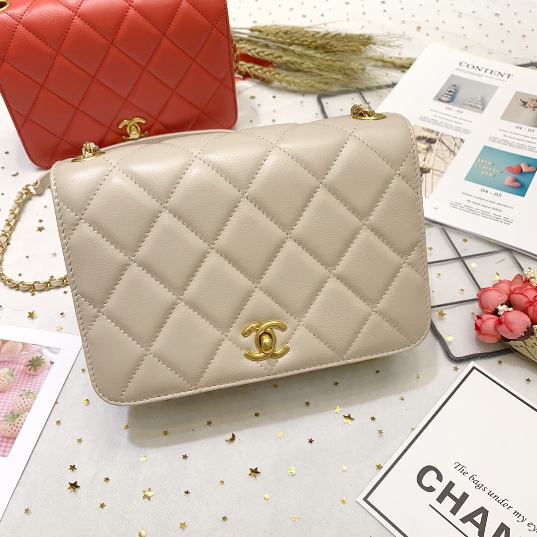 Chanel Calf Leather Single Flap Bag AS8869