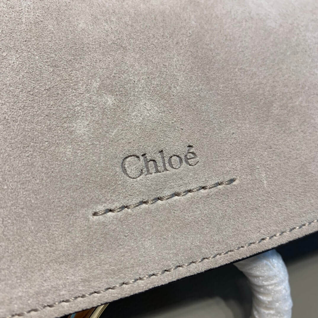 Chloe Faye Small Bag in Smooth & Suede Calfskin S203