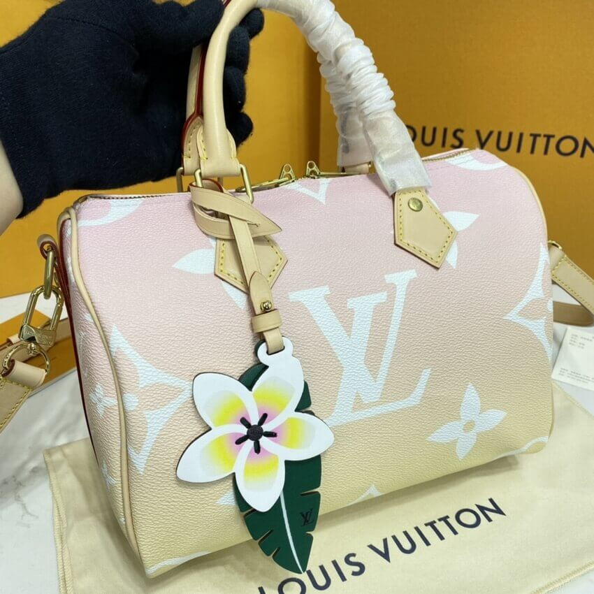 Louis Vuitton Speedy Bandouliere 25 M45722 M45724