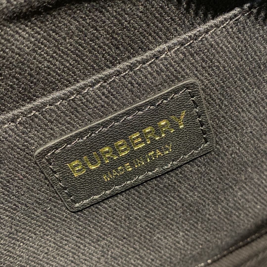 Burberry Quilted Lambskin Camera Bag 80211731