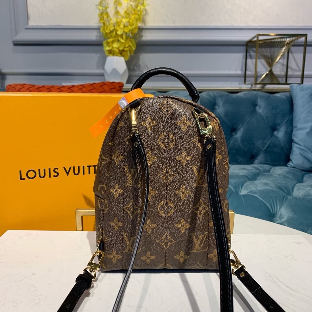 Louis Vuitton Monogram Canvas Palm Springs Backpack Mini M41562