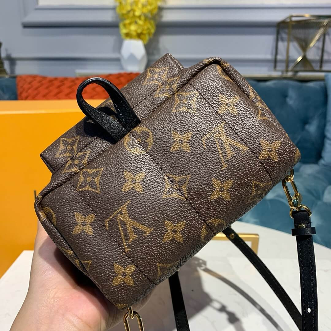 Louis Vuitton Monogram Canvas Palm Springs Backpack Mini M41562
