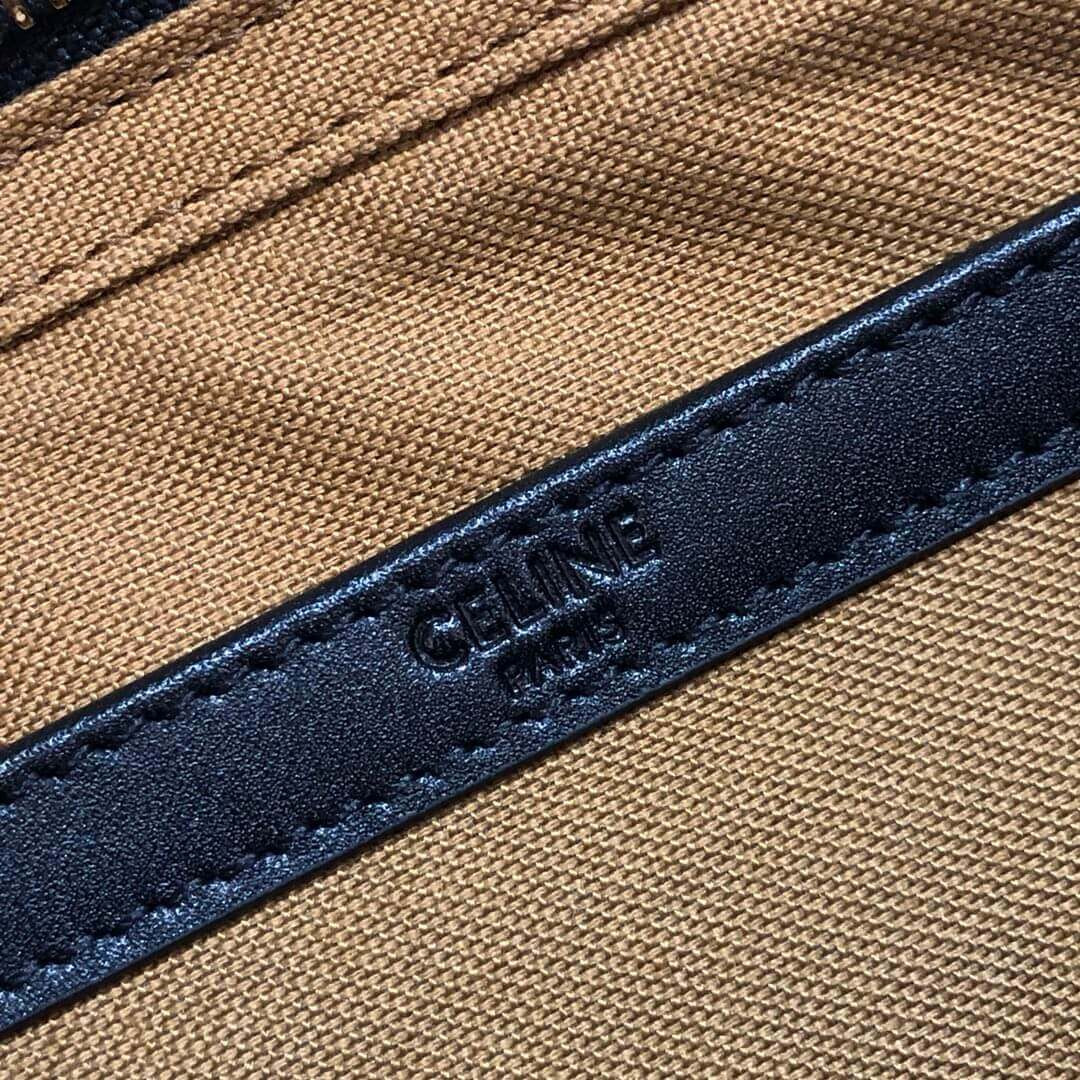 Celine Medium Messenger Bag In Triomphe Canvas 194502