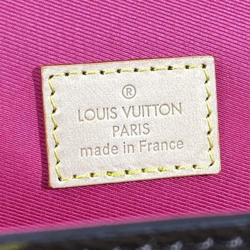 Louis Vuitton Monogram Canvas Cluny BB M42738