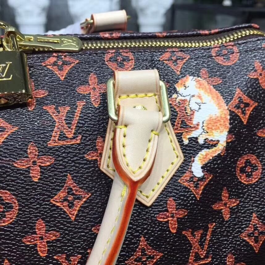 Louis Vuitton Speedy Bandouliere 30 M44401