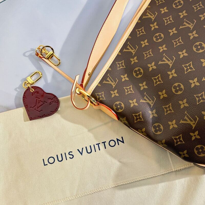 Louis Vuitton Monogram Canvas Delightful MM M50156