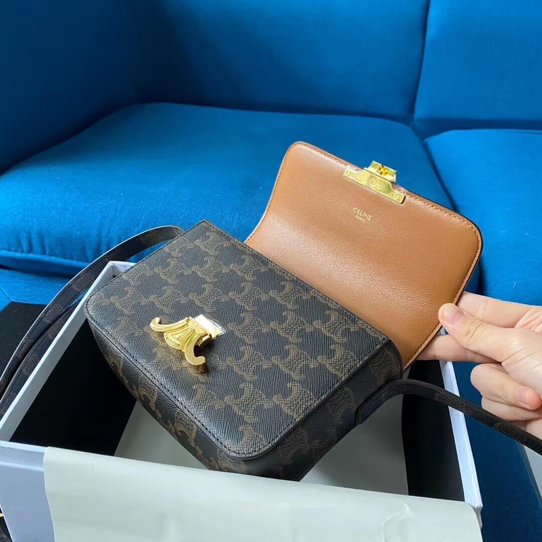 Celine Nano Triomphe Bag In Triomphe Canvas 191902