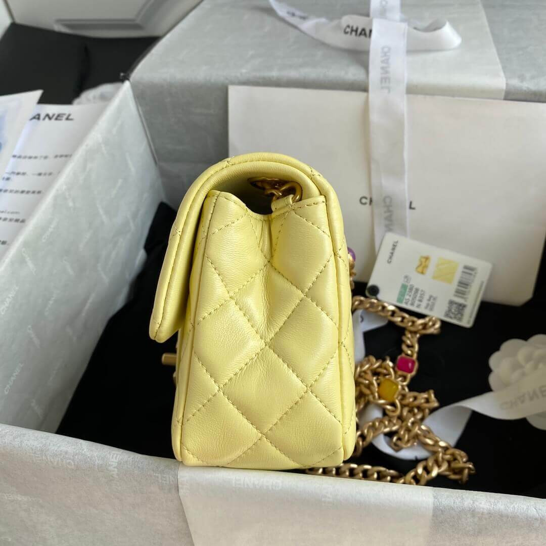 Chanel Resin Flap Bag AS2380