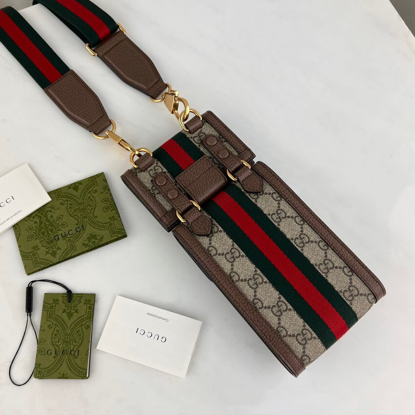 Gucci Ophidia Mini Bag and Detachable Wallet 699173