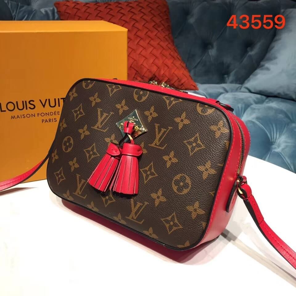 Louis Vuitton Monogram Canvas Saintonge M43559